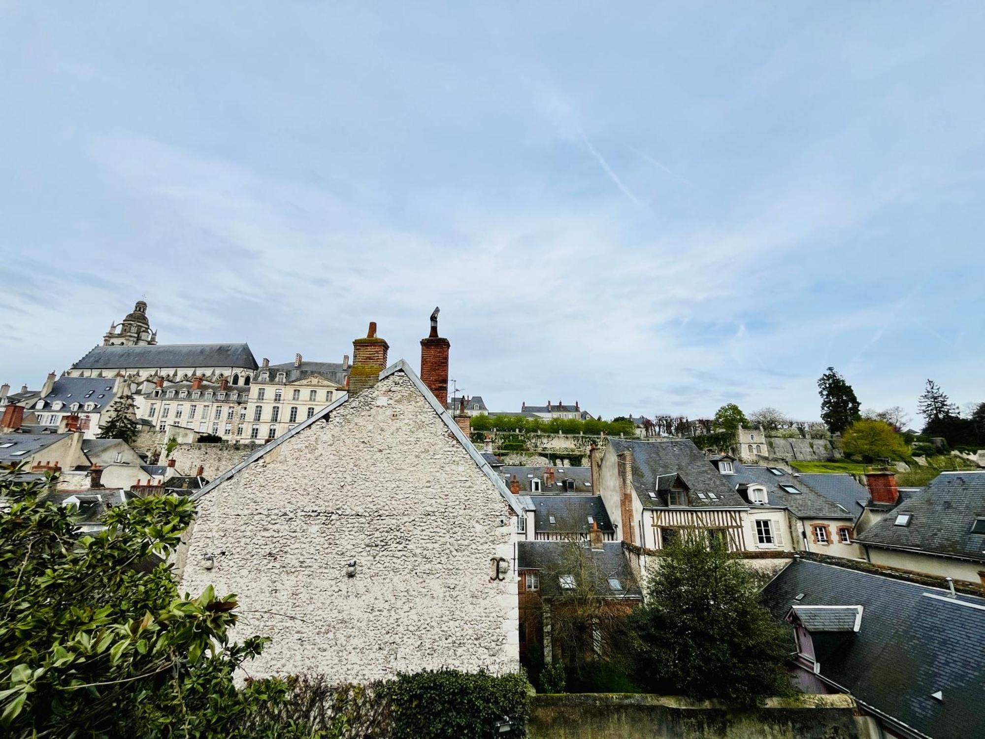 Apartamento Vue Loire, Hypercentre, Spacieux, Familial, Climatise, Le Quai De Loire Blois Exterior foto